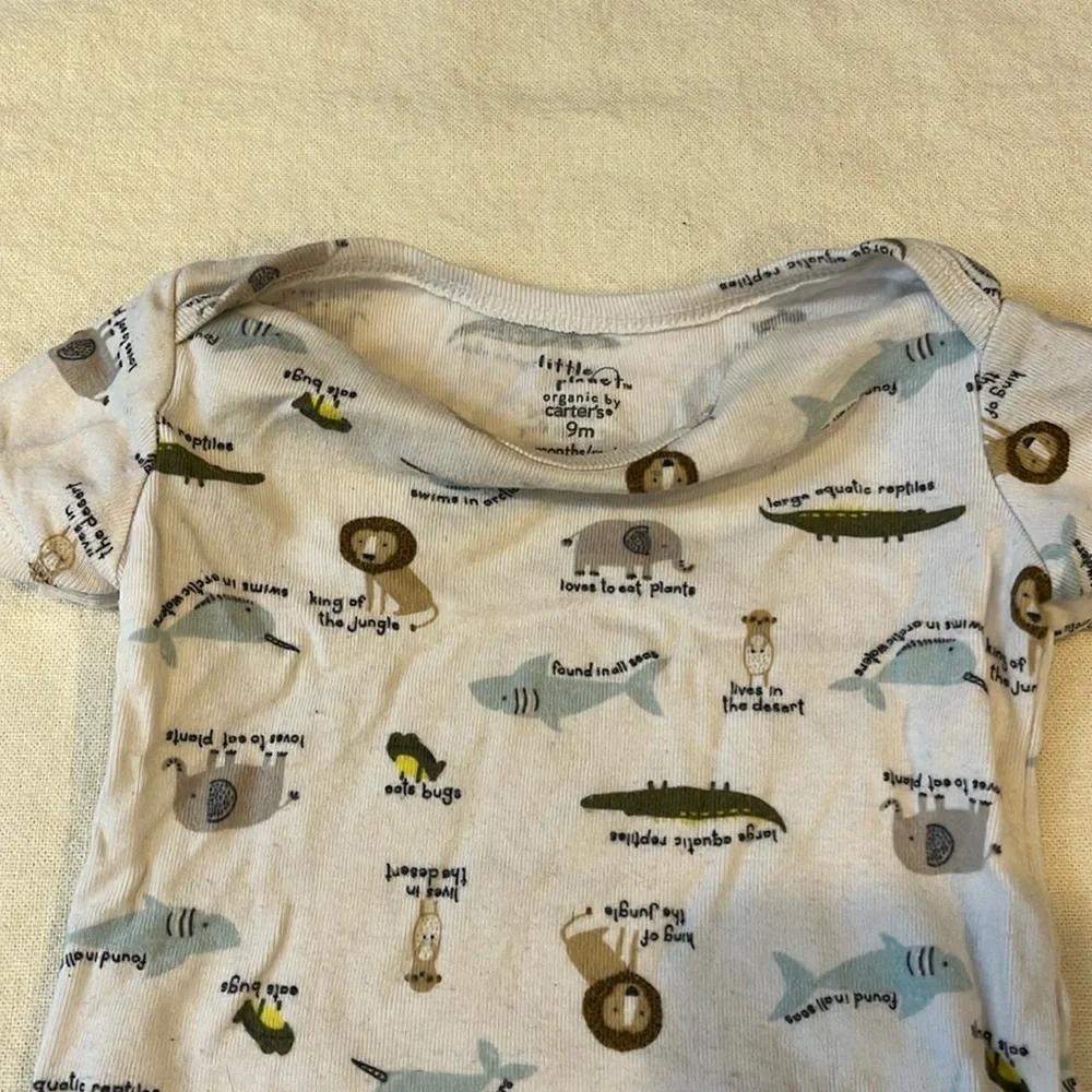 Bundle of 9 Month Bodysuits